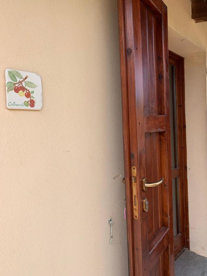 Villa Terra Noas Villaurbana Exterior foto